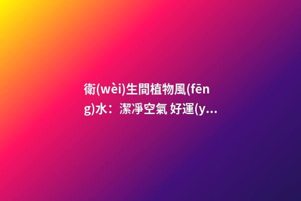 衛(wèi)生間植物風(fēng)水：潔凈空氣 好運(yùn)氣